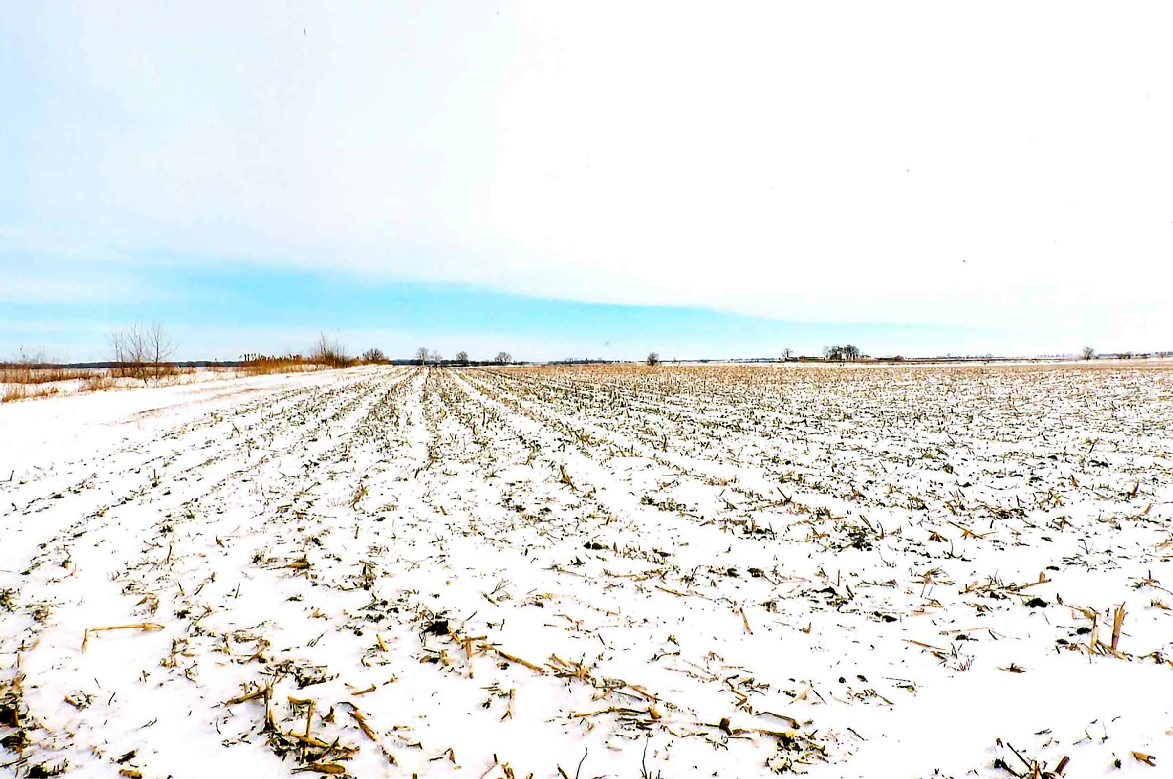 Property photo 3 - LAND AUCTION - 181.22+/- ACRE OFFERED IN 3 TRACTS IN JASPER CO., INDIANA